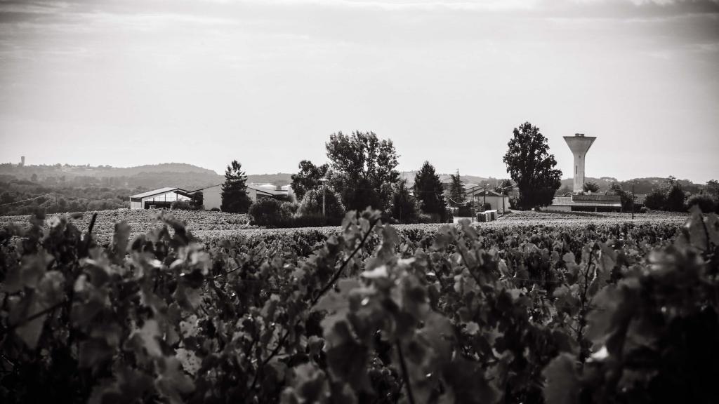 vignobles lumeau photos