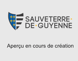 apercu en cours