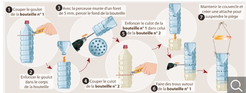 sans titre sans titre